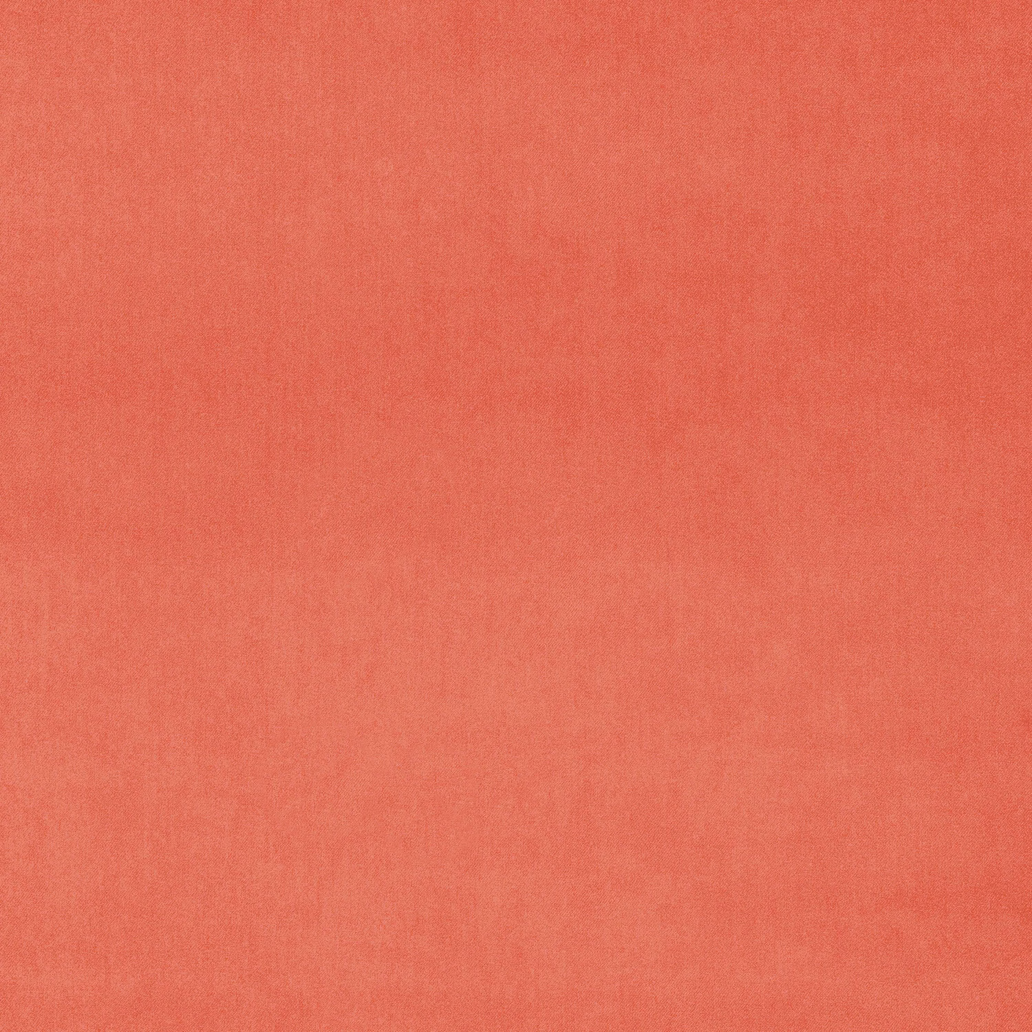 Coral red plain velvet swatch with a soft brushed pile