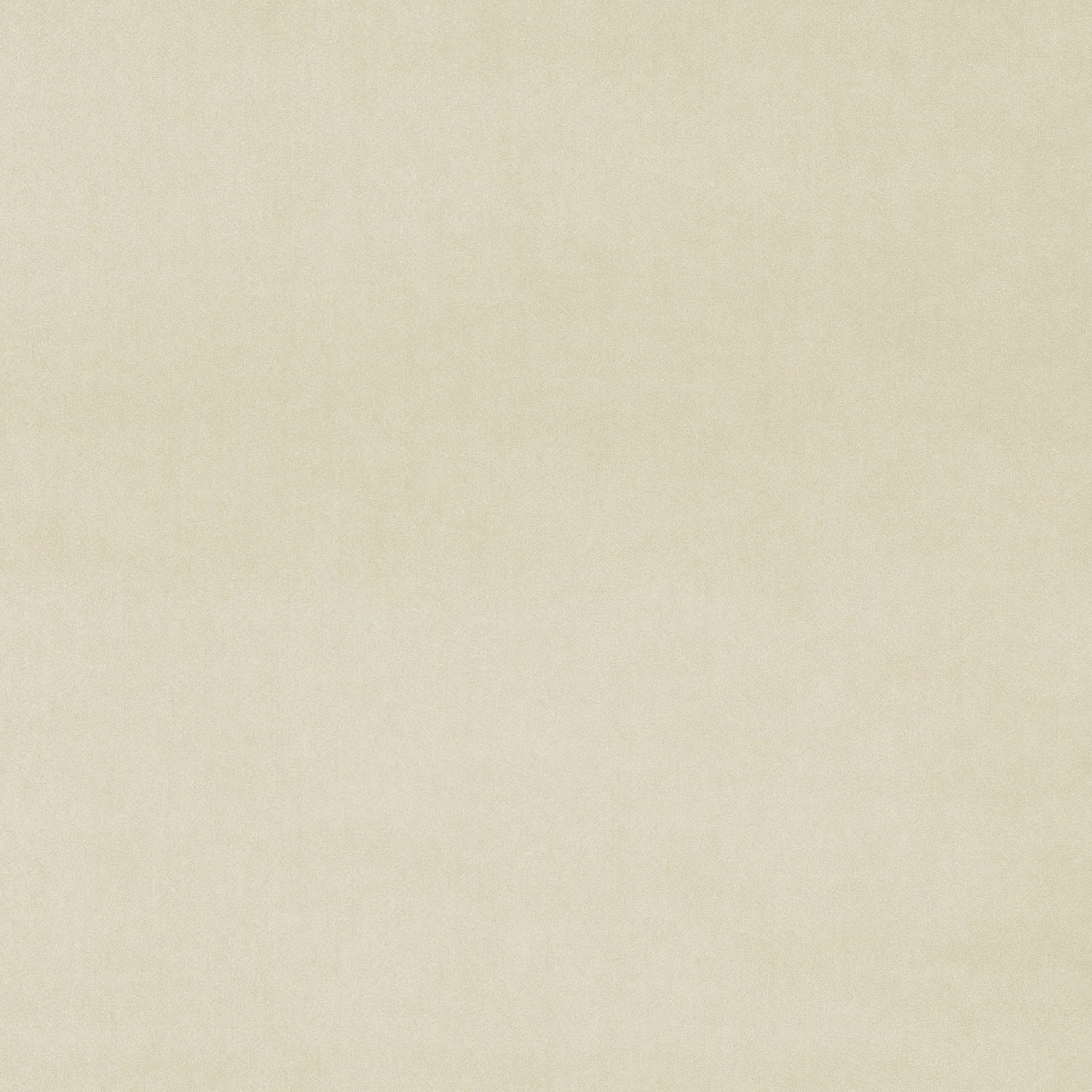 Pale chalk cream velvet swatch with a smooth plain surface