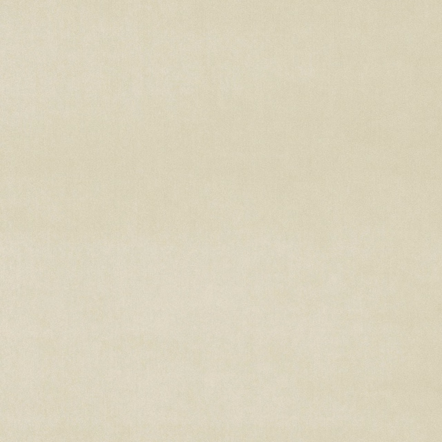Pale chalk cream velvet swatch with a smooth plain surface