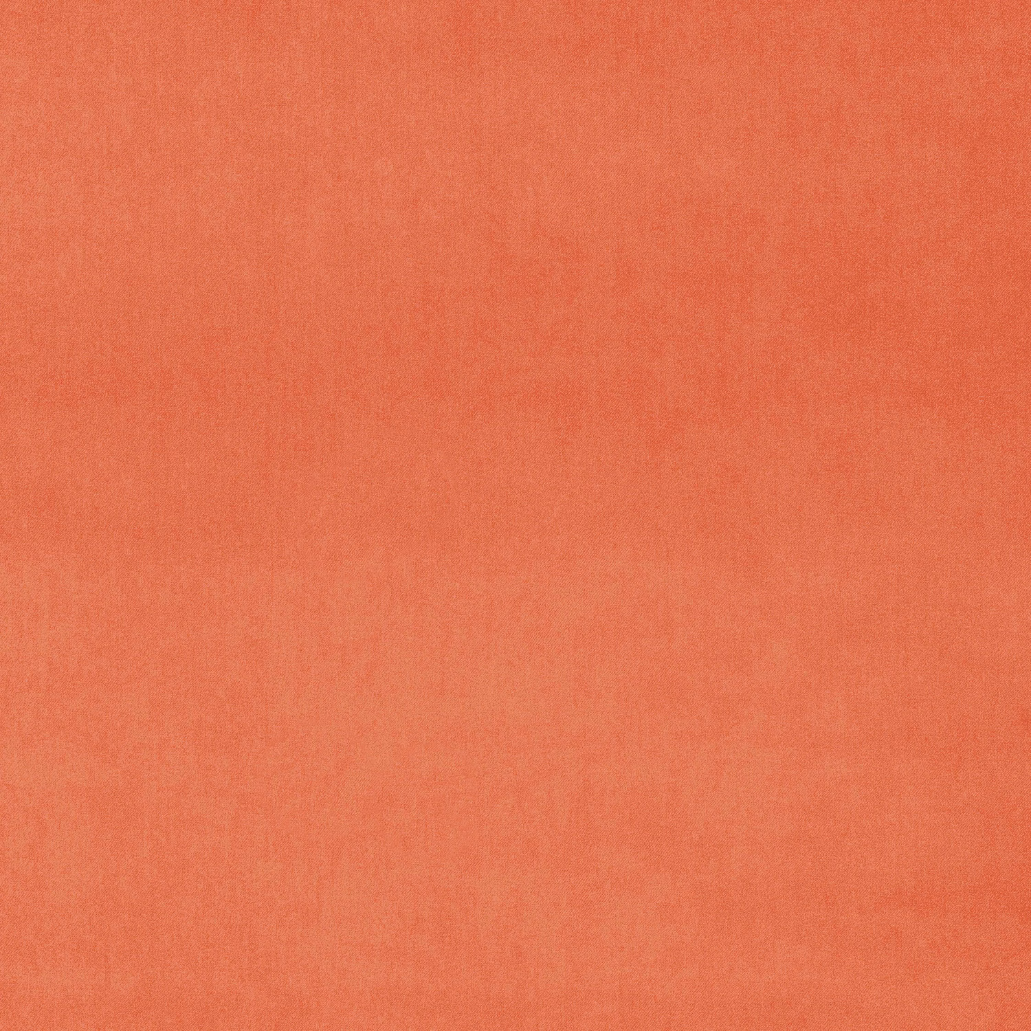 Coral plain velvet fabric with a soft, light-catching pile