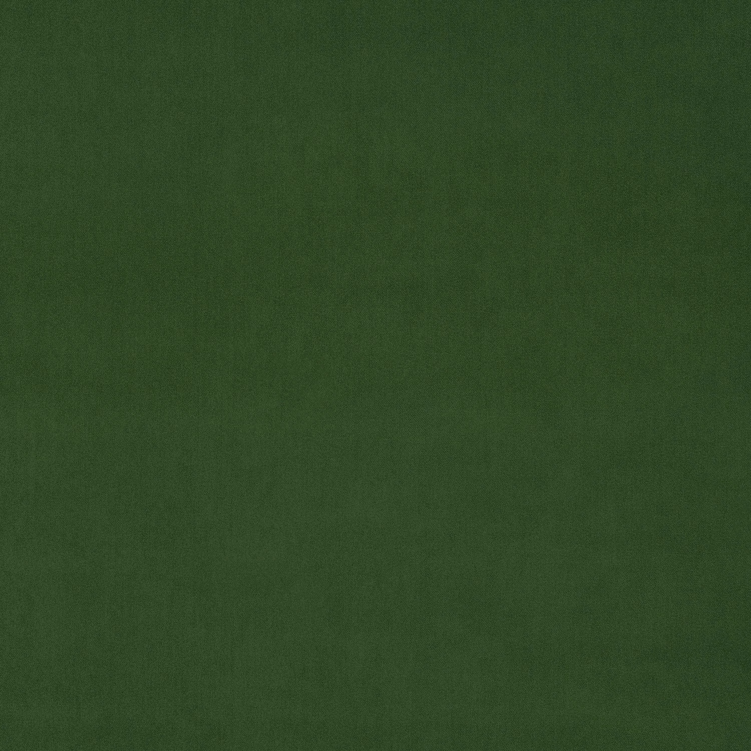Deep moss green velvet swatch with a smooth, even pile