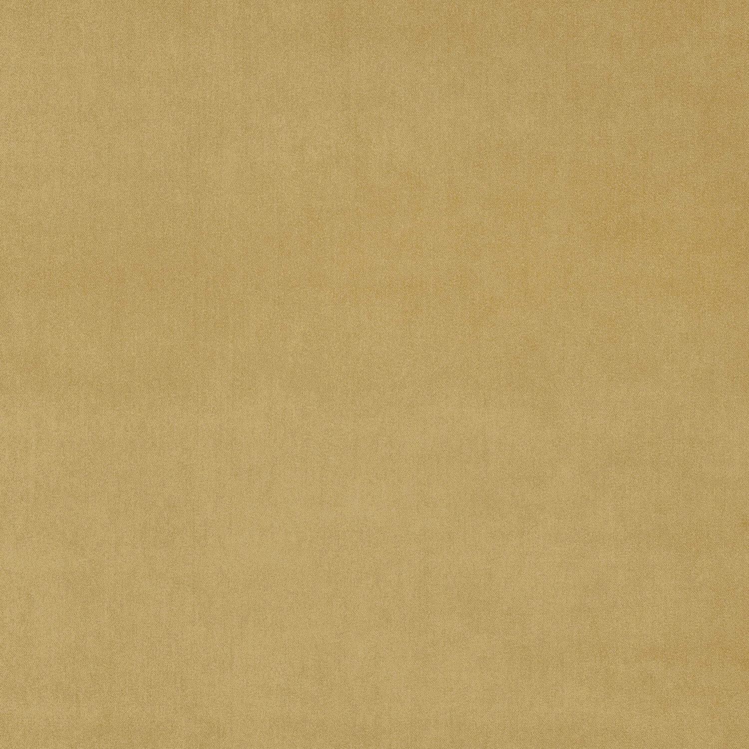Soft antique gold velvet with a smooth, matte pile texture