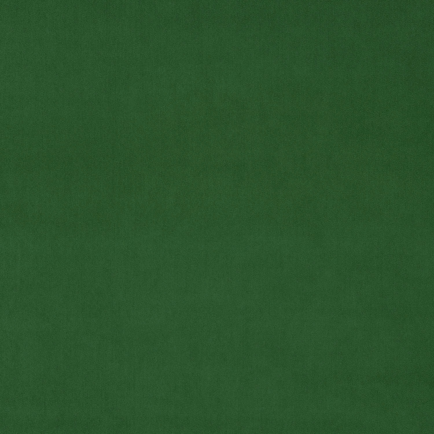 Deep moss green velvet swatch with a smooth, softly shaded pile