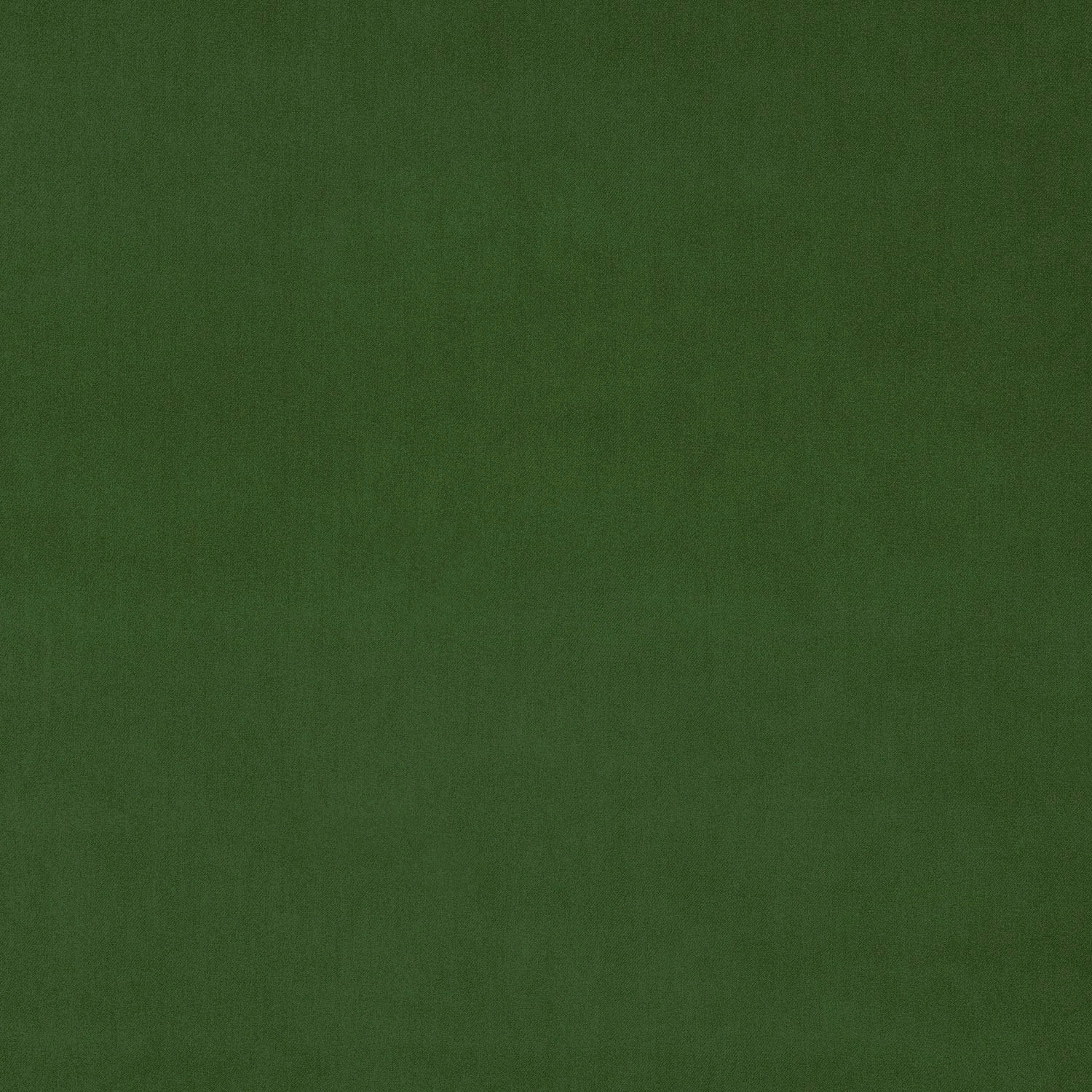 Deep moss green velvet swatch with a smooth, even pile