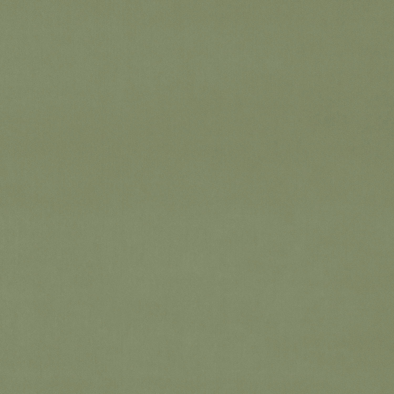 Muted sage green plain velvet with a smooth, softly lustrous surface