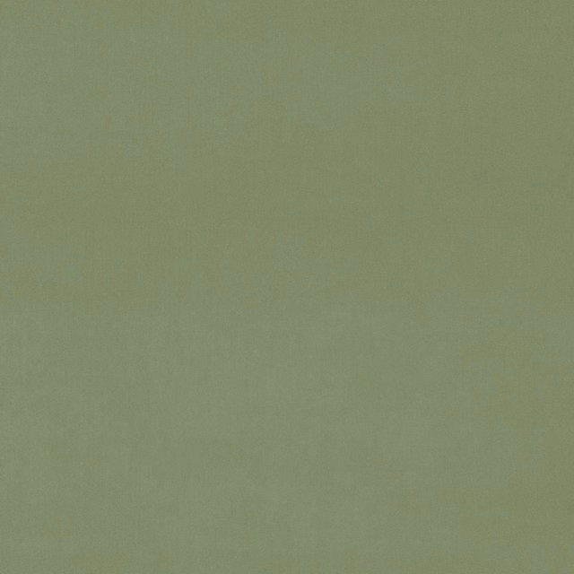 Muted sage green plain velvet with a smooth, softly lustrous surface