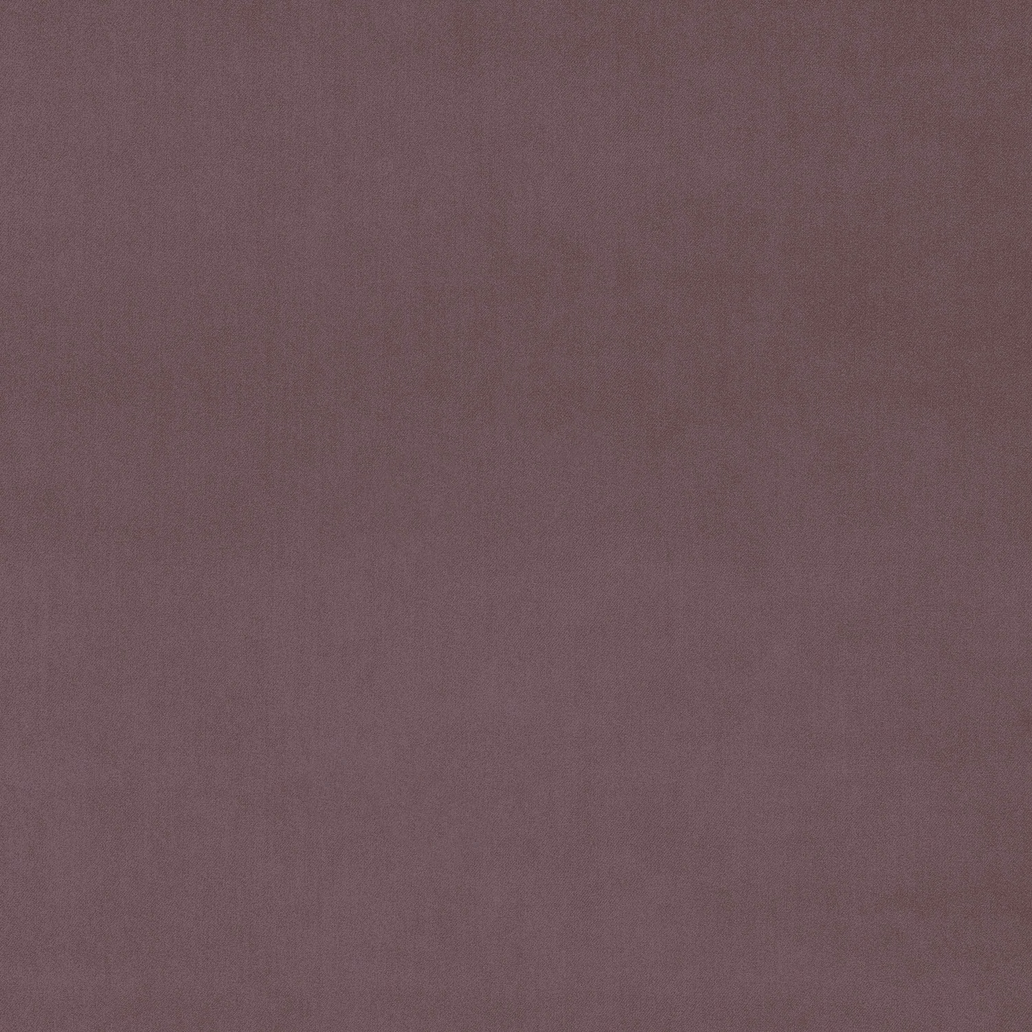 Muted dusty mauve velvet swatch with a smooth, even pile