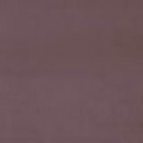 Muted dusty mauve velvet swatch with a smooth, even pile