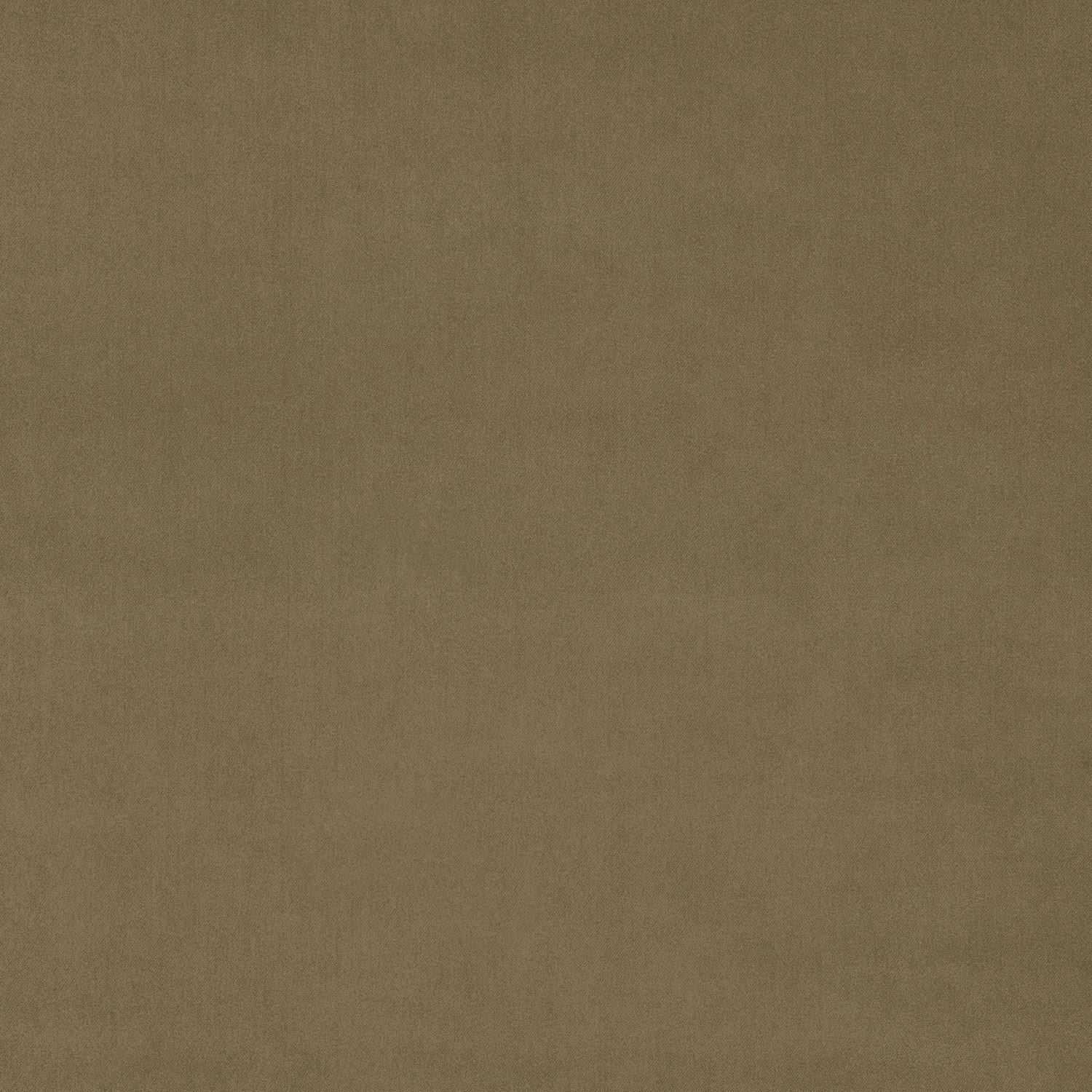 Warm latte beige plain velvet swatch with a soft brushed sheen