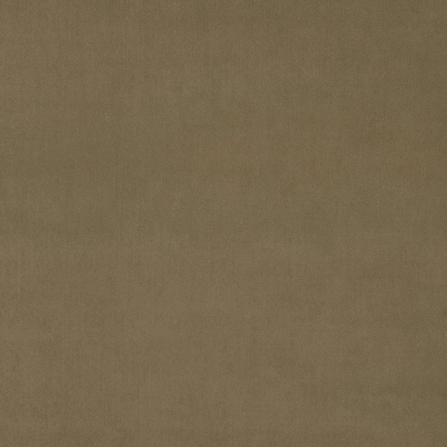 Warm latte beige plain velvet swatch with a soft brushed sheen
