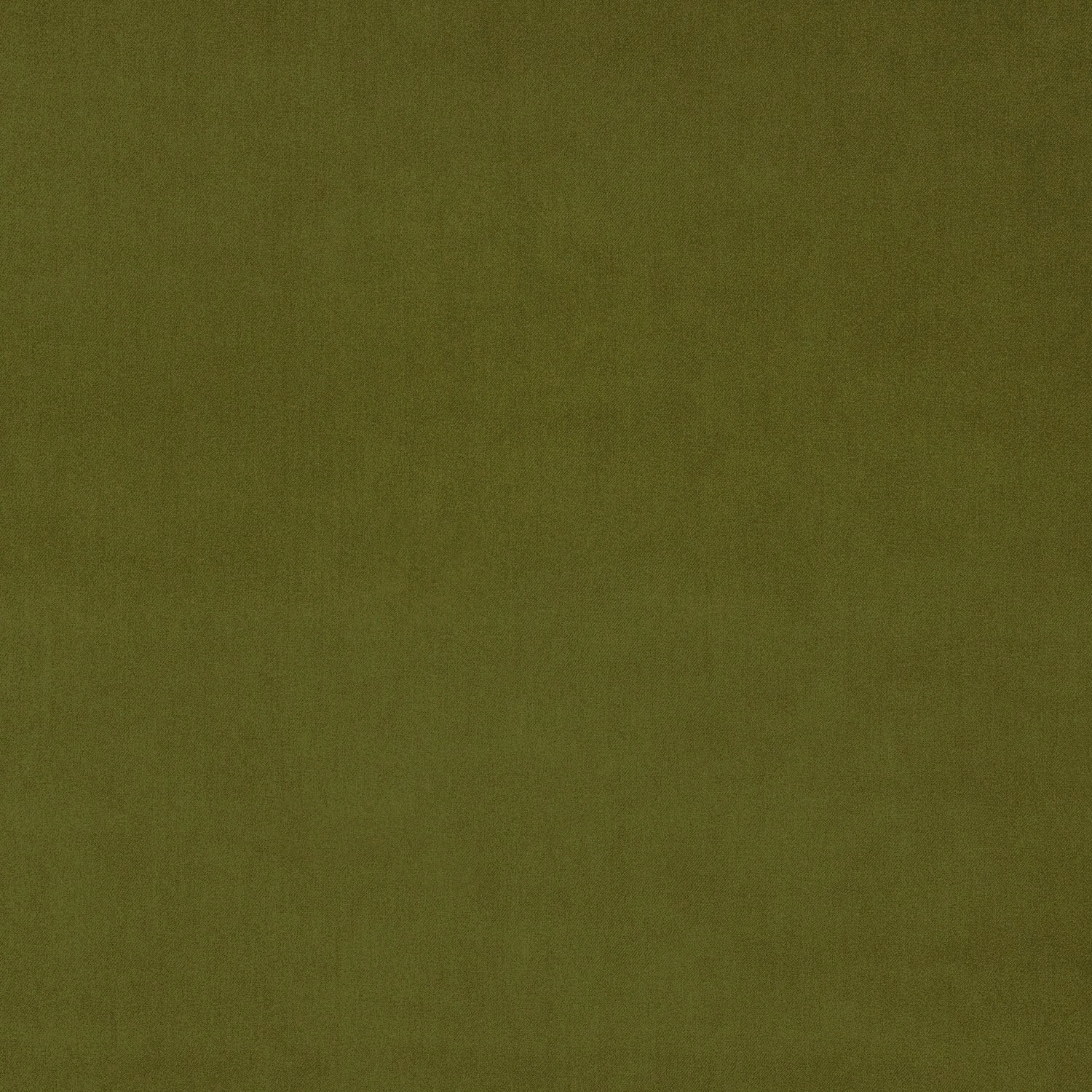 Muted moss olive plain velvet swatch with a soft, low-sheen pile