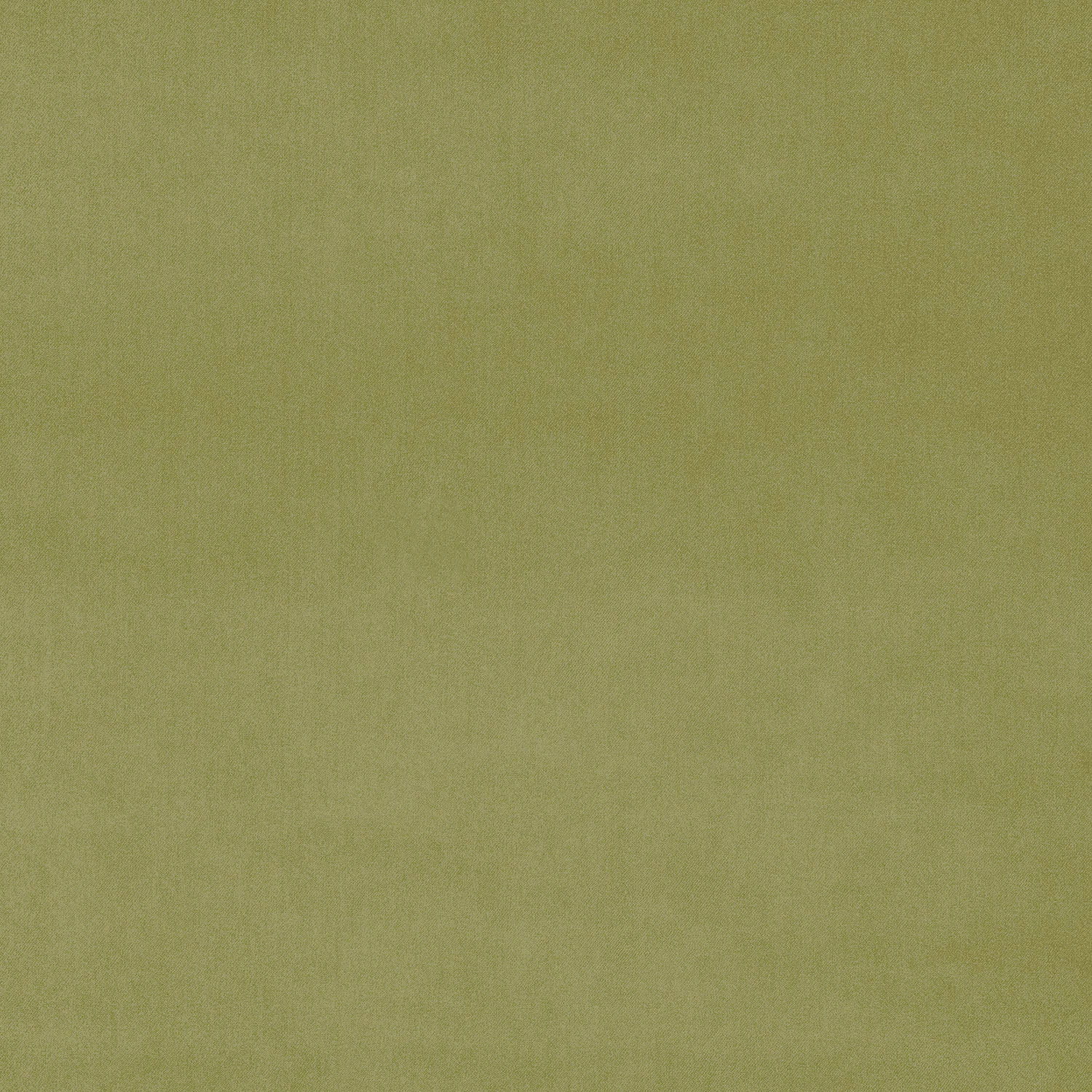 Soft olive green plain velvet swatch with a smooth low-sheen finish