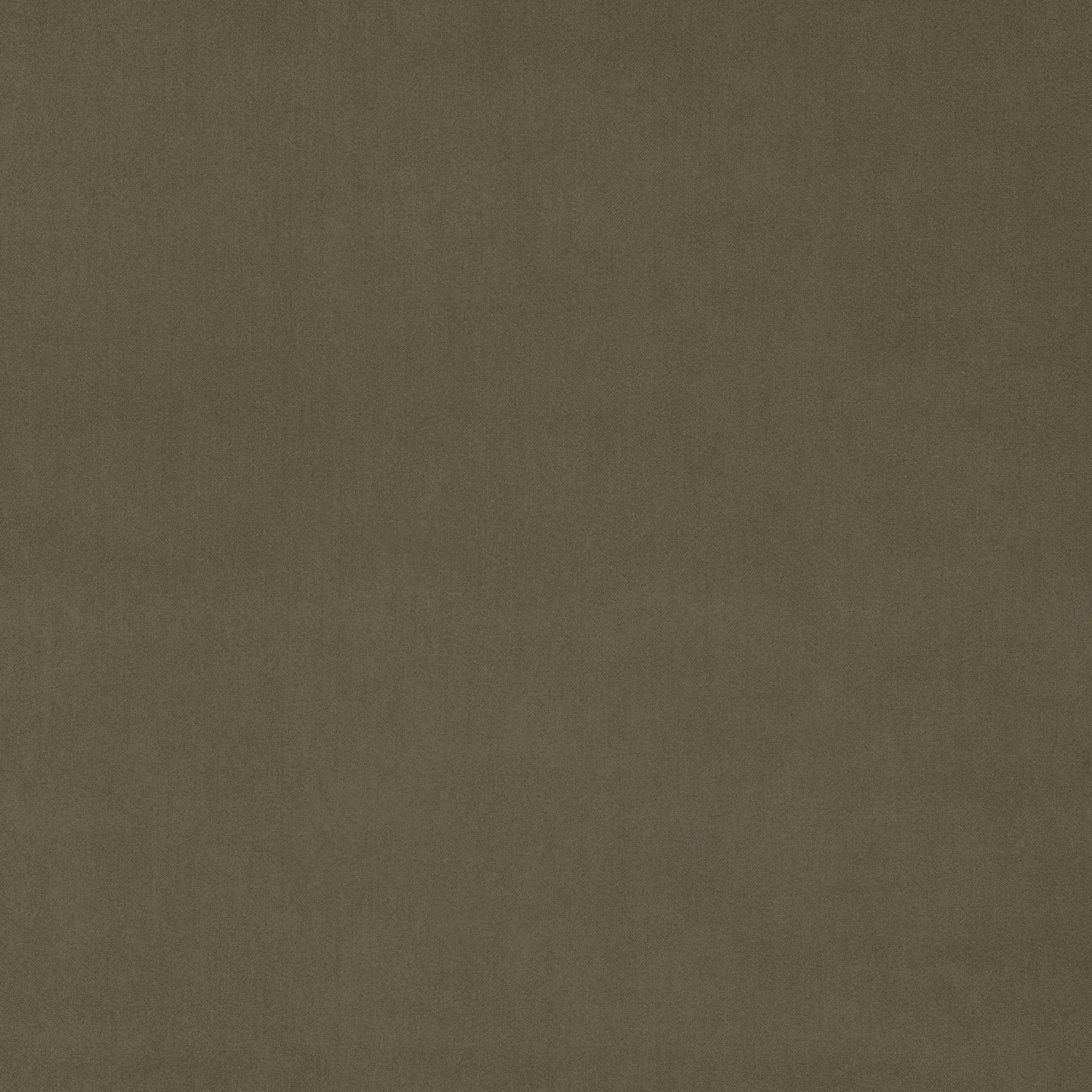Muted olive-taupe velvet swatch with a smooth low-sheen surface