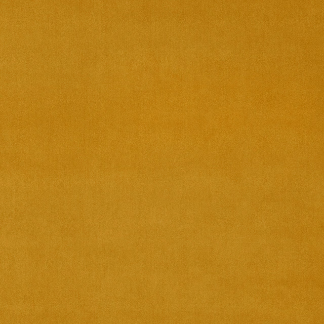 Close-up of maize yellow velvet with a smooth, dense pile and soft sheen