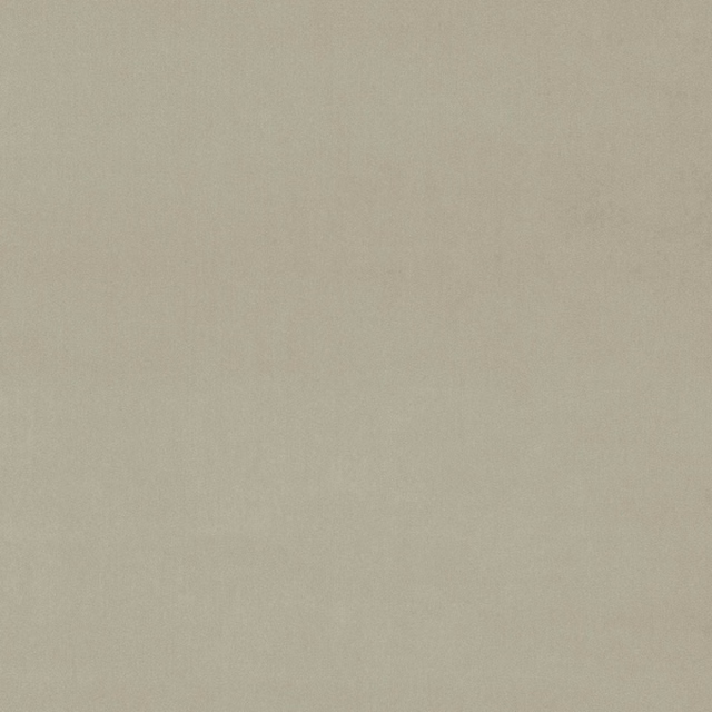 Plain pale beige velvet swatch with a soft matte sheen