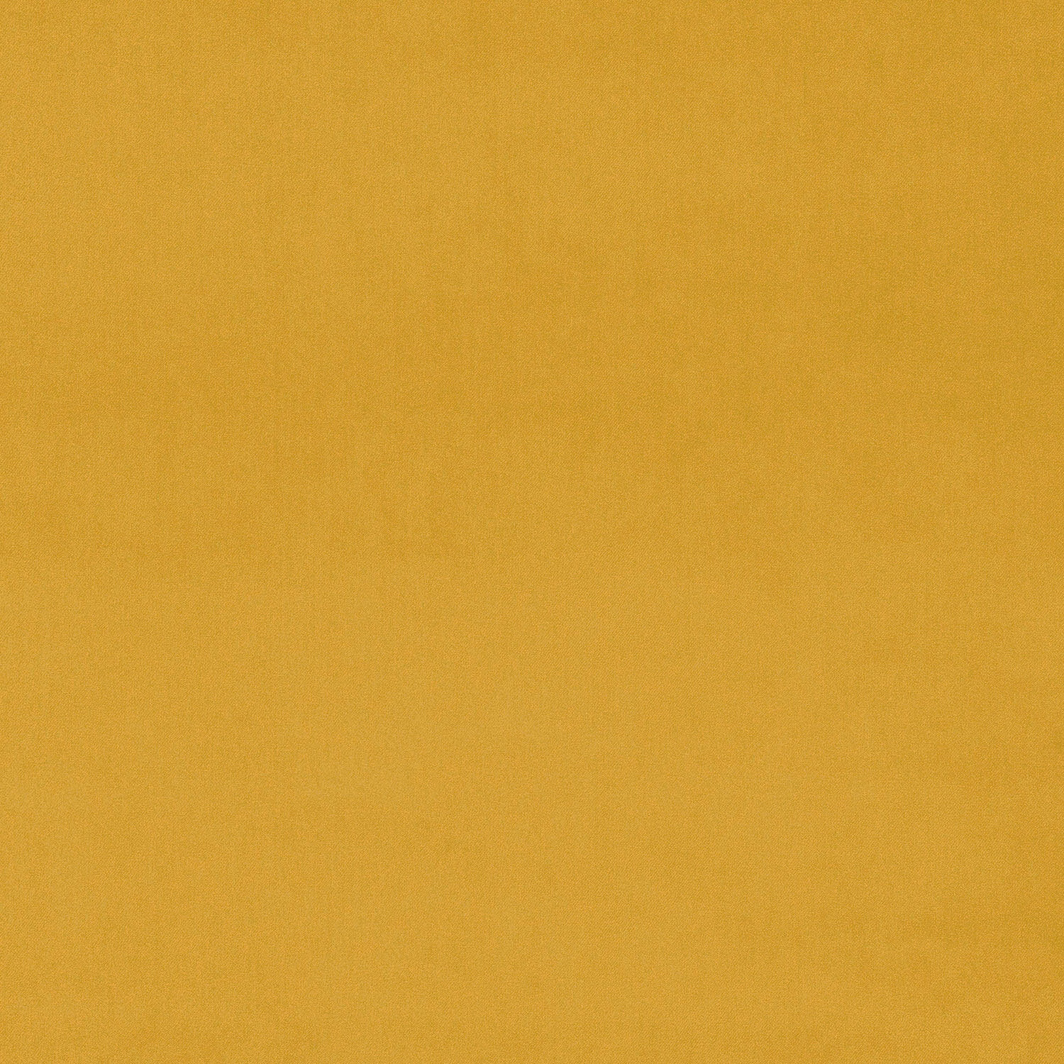 Plain mustard-yellow velvet swatch with a soft matte sheen