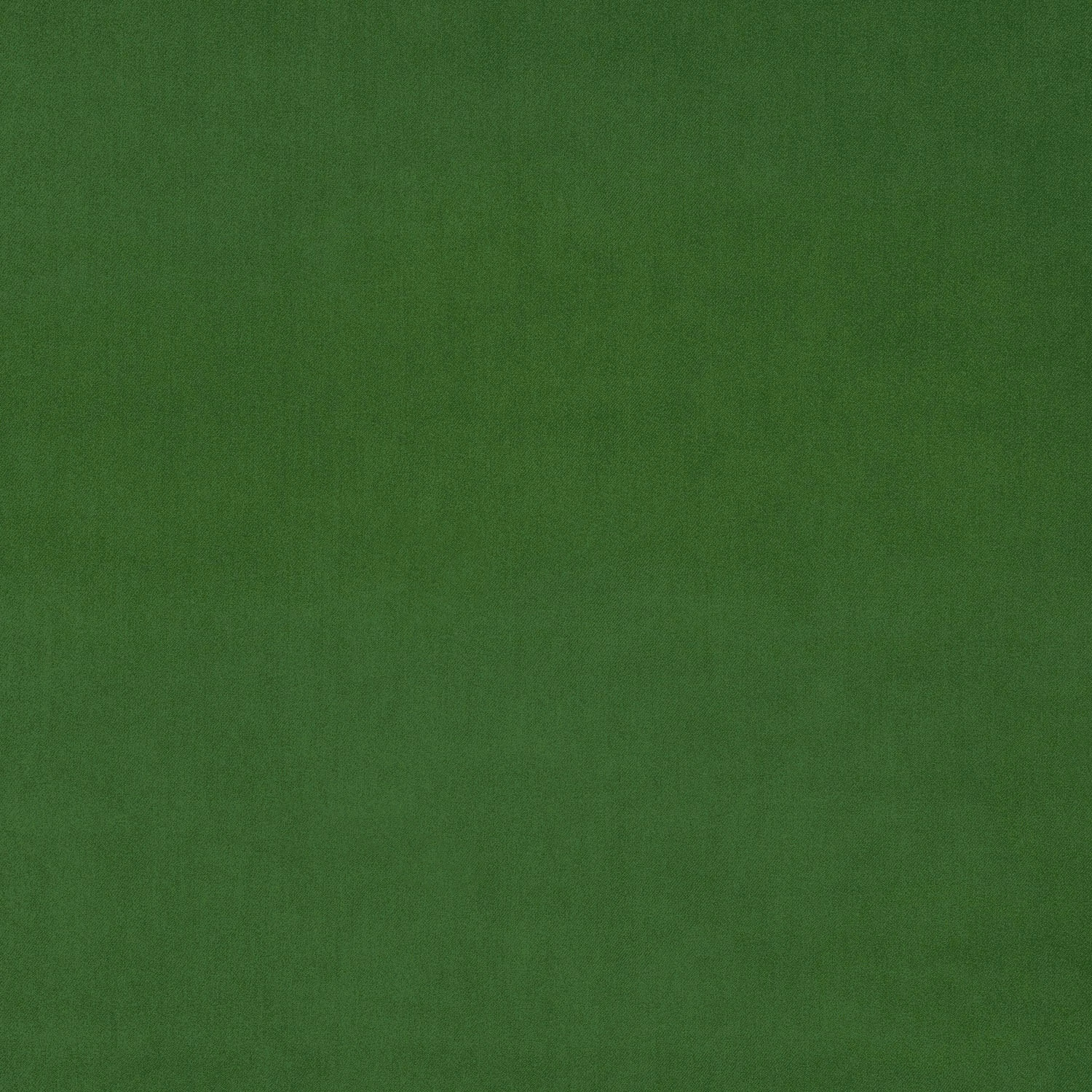 Plain parakeet green velvet swatch with a soft, even pile
