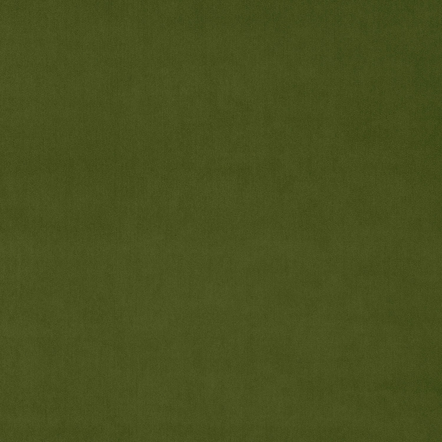 Deep olive green velvet fabric swatch with a smooth plain pile