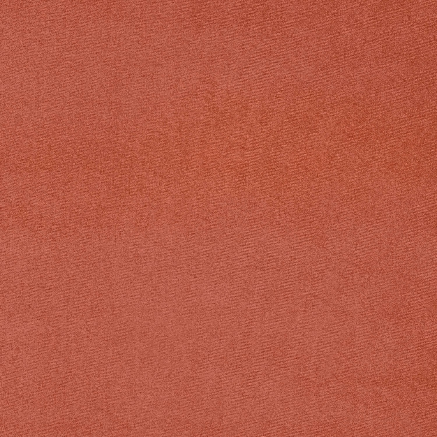 Muted rosewood pink velvet with a soft, lightly brushed surface