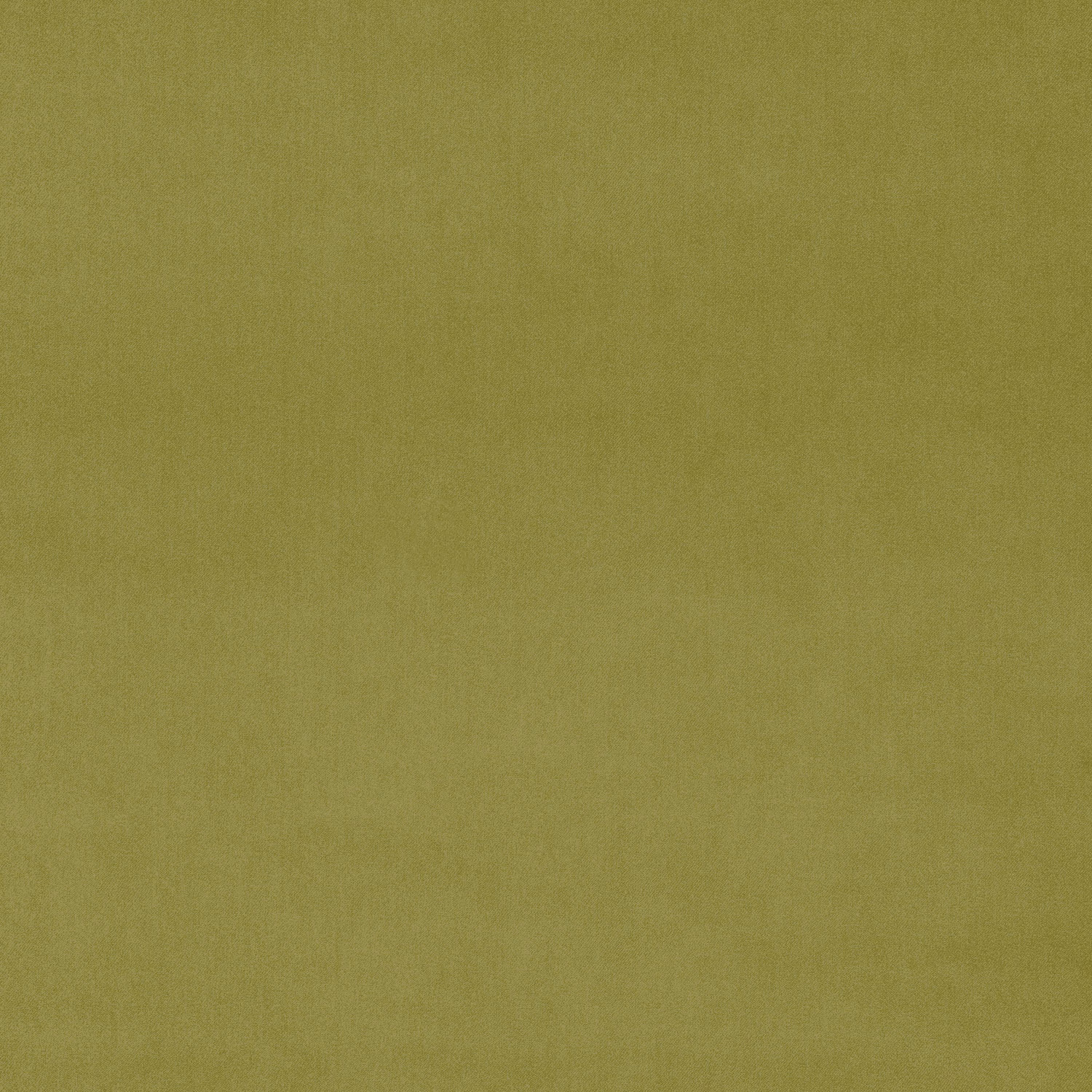 Plain sage green velvet swatch with a soft matte pile