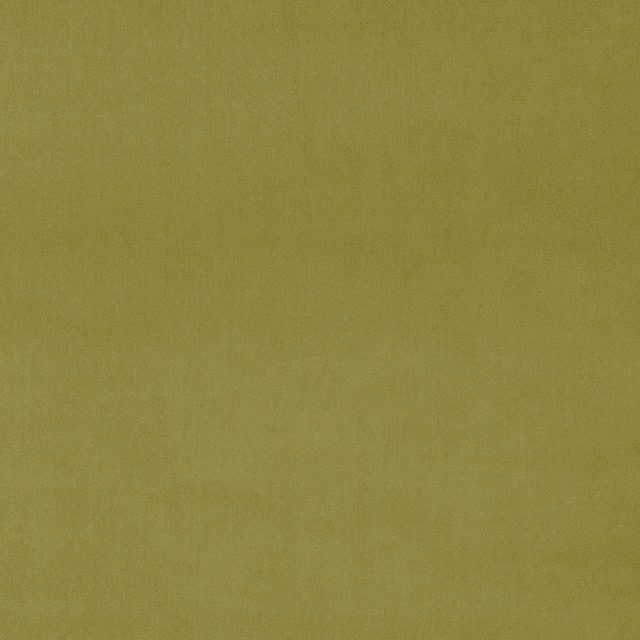 Plain sage green velvet swatch with a soft matte pile