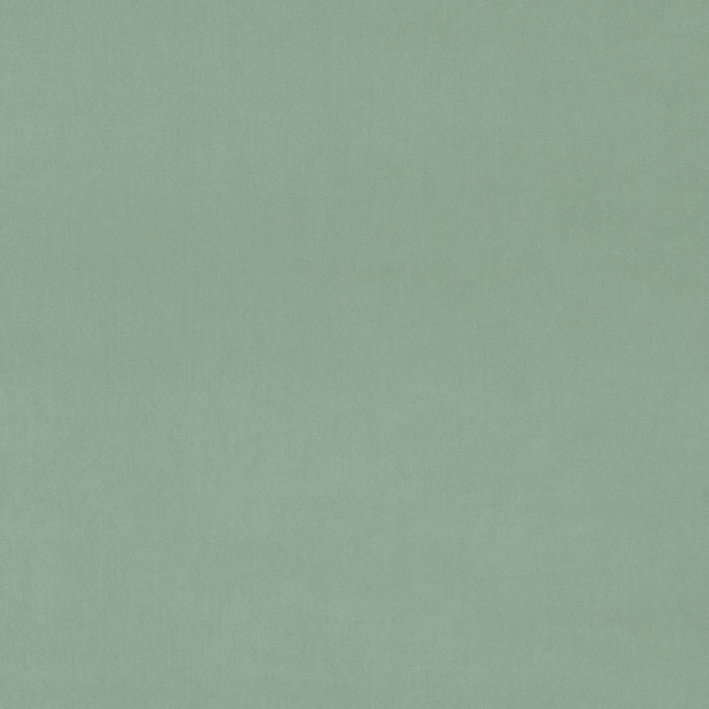 Soft sea-mist green plain velvet with a smooth matte pile