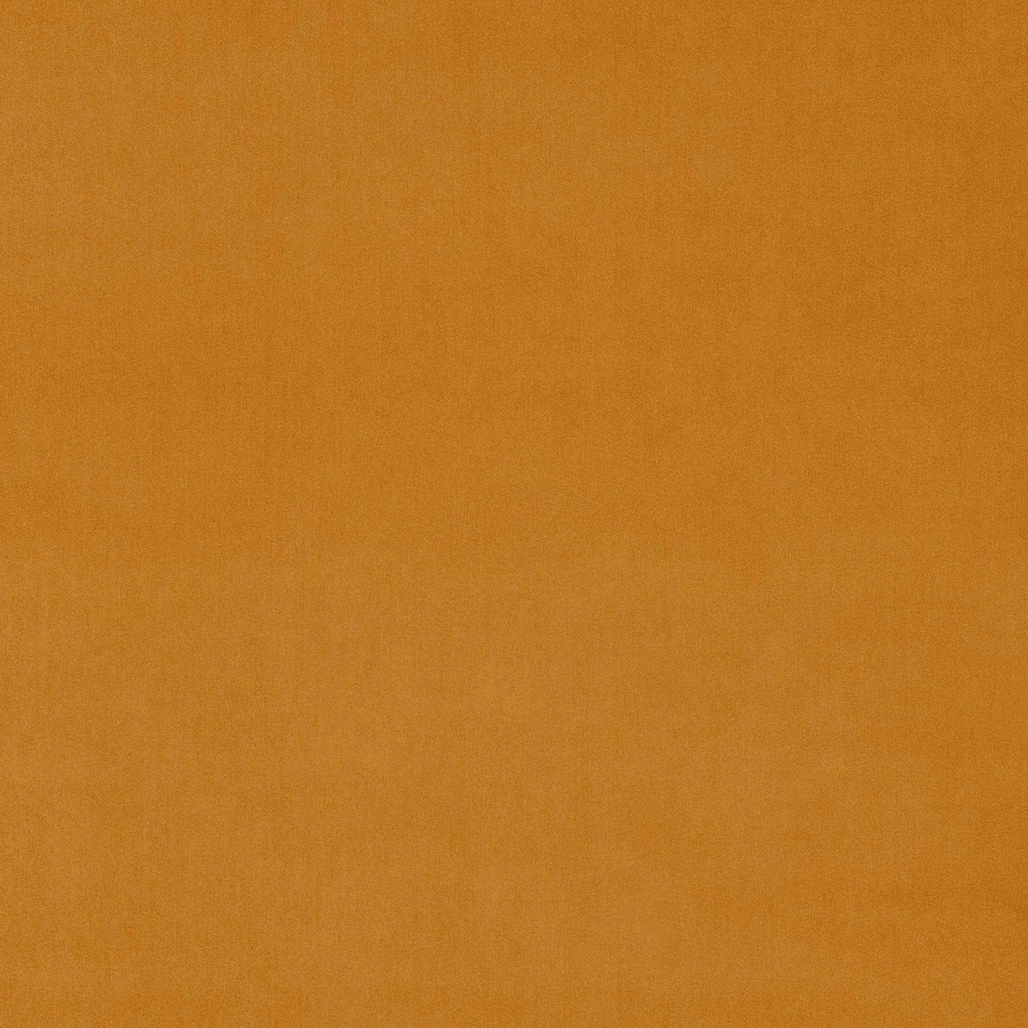 Warm spice-gold plain velvet swatch with a soft directional sheen