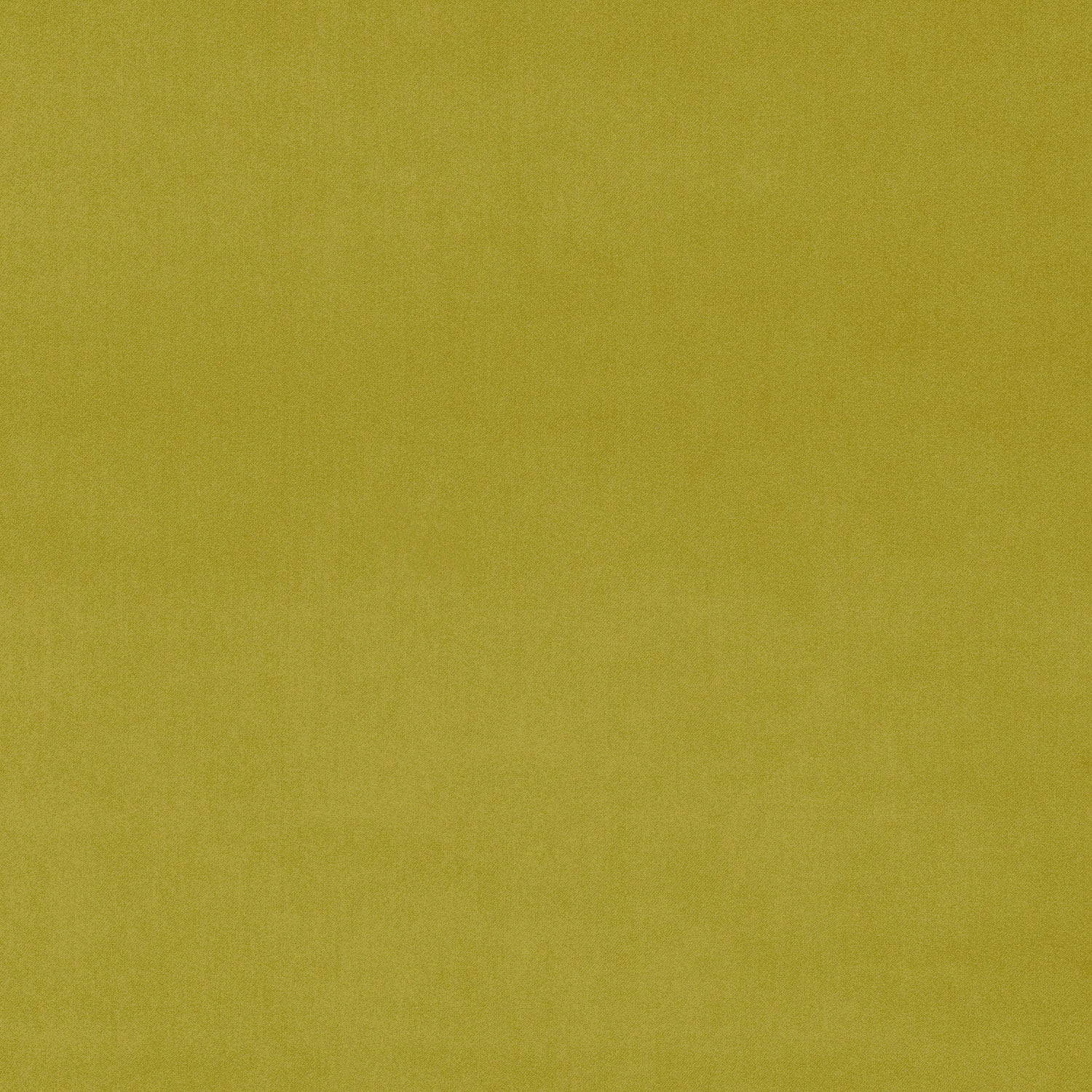 Olive green plain velvet fabric with a soft matte pile