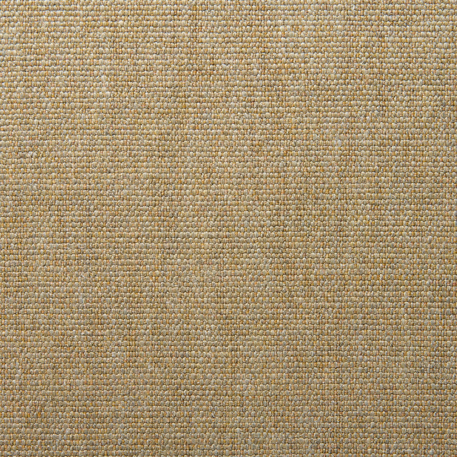 Close-up of Orta Sand’s nubby sandy-gold plain weave with muted olive flecks