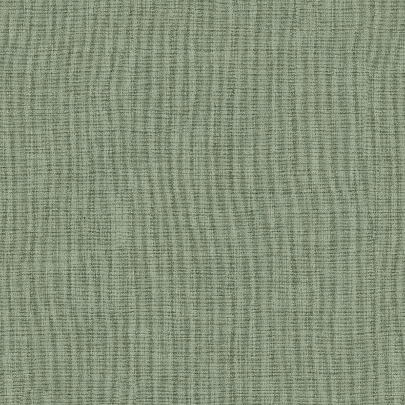 Soft moss green plain woven fabric swatch with subtle linen-like texture