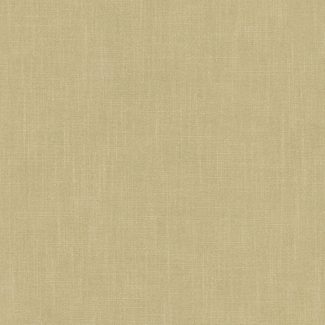 Pale dune beige plain woven fabric with fine natural texture