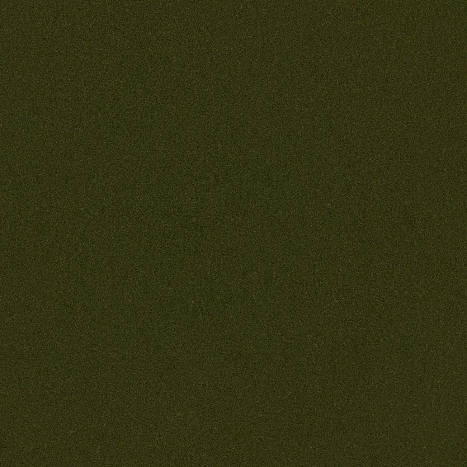 Romney Moss fabric