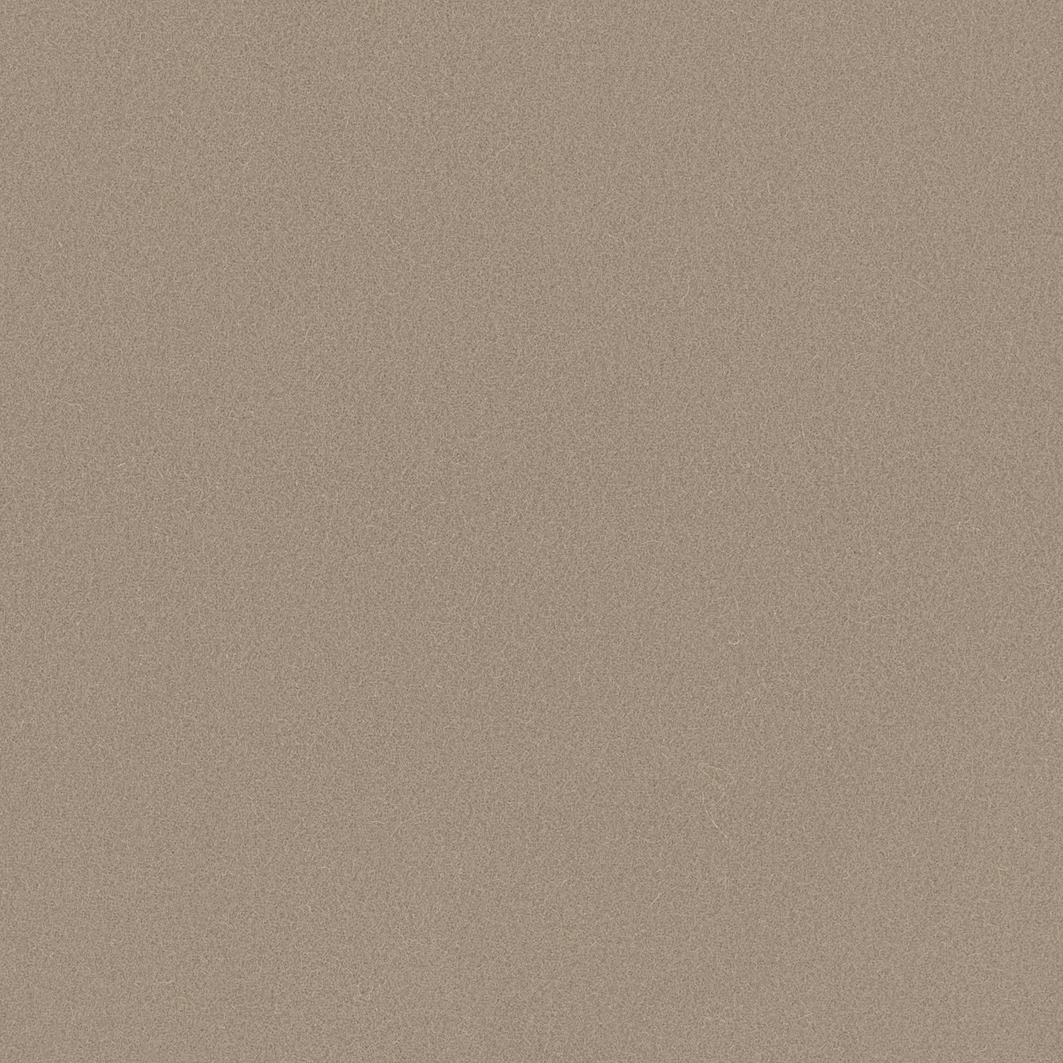 Muted dove taupe Romney wool with a fine, subtly grainy plain weave