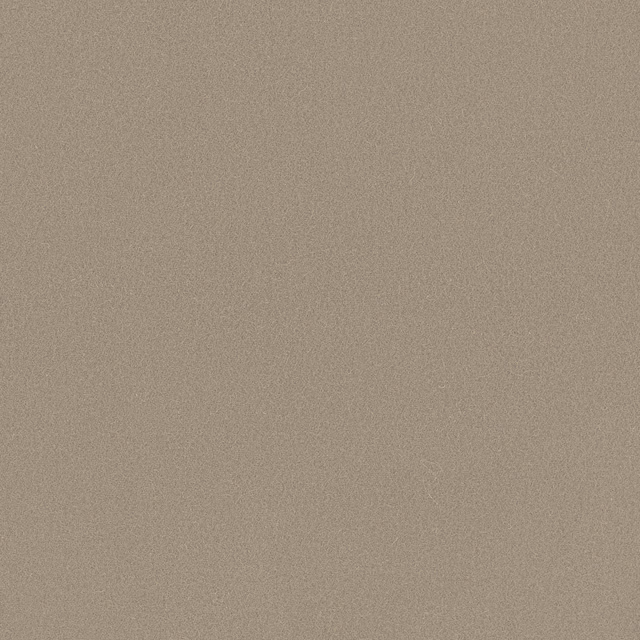 Muted dove taupe Romney wool with a fine, subtly grainy plain weave