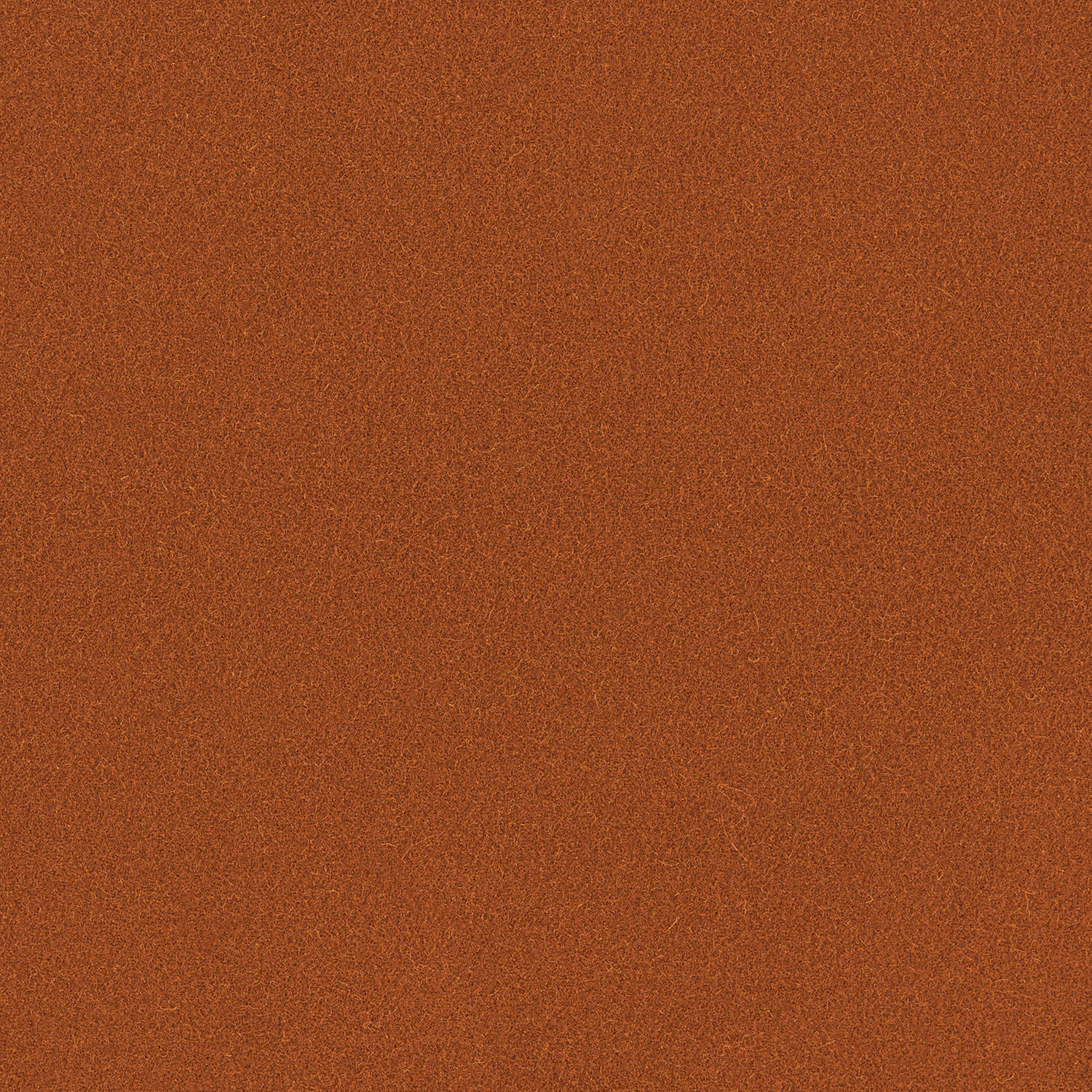 Ember terracotta Romney wool with a fine, softly mottled plain weave