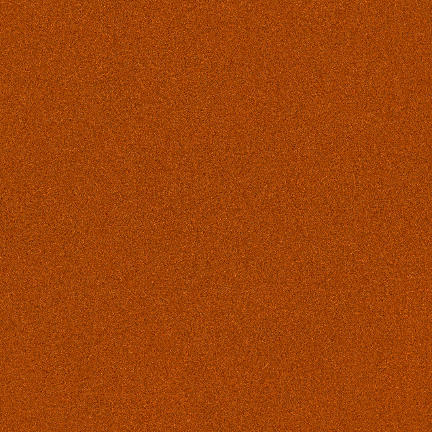 Close-up of warm burnt-orange Romney wool with a fine, subtly grainy weave