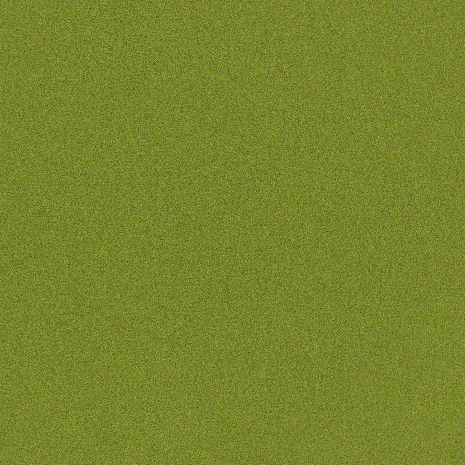 Close-up of muted grass green Romney wool with a fine plain woven texture