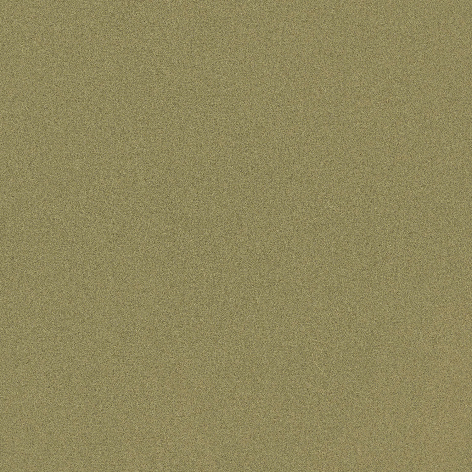 Muted matcha-green Romney wool with a fine, softly mottled plain weave
