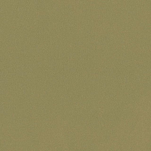 Muted matcha-green Romney wool with a fine, softly mottled plain weave