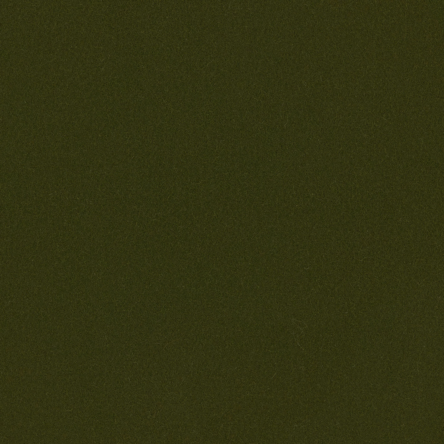Close-up of deep moss green Romney wool with a dense matte plain weave