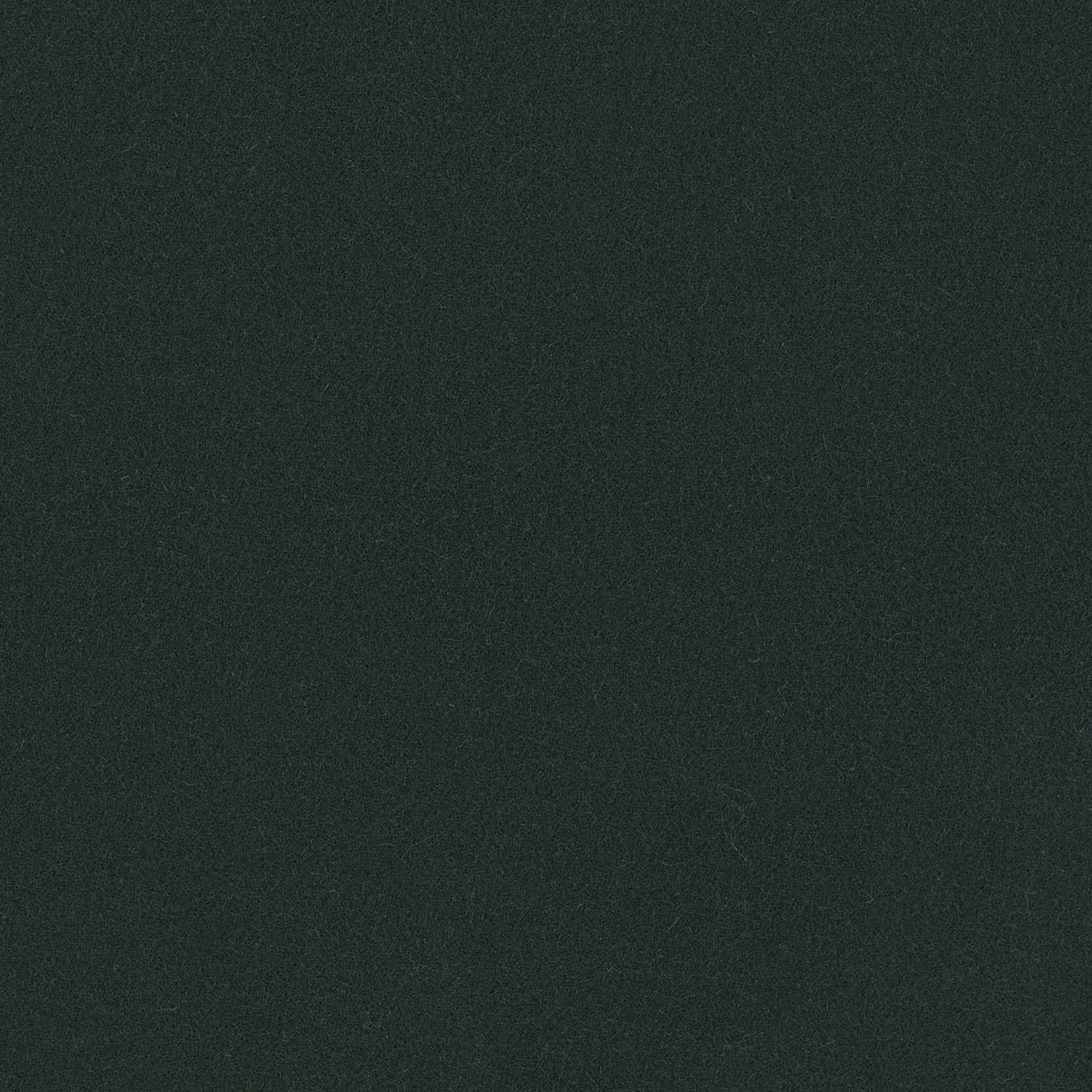 Deep pine green Romney wool with a fine, matte plain weave