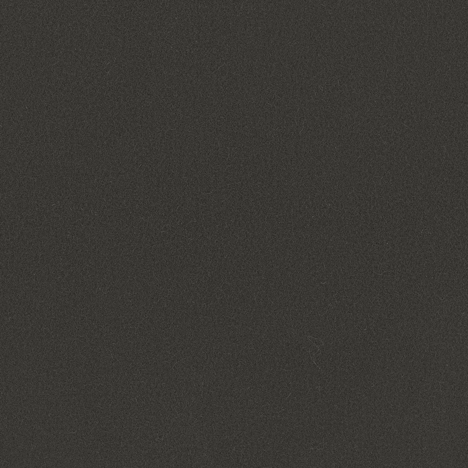 Deep charcoal grey wool with a fine, softly mottled plain weave