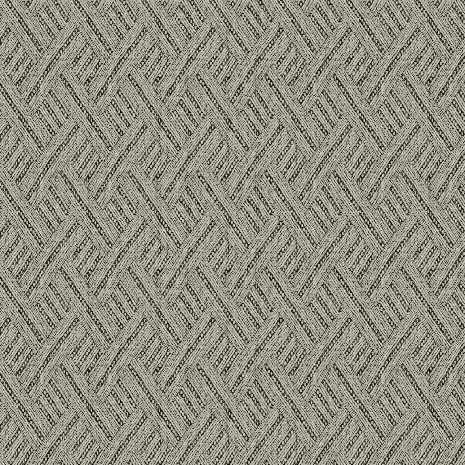 Rumba Coal fabric