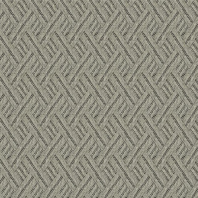 Rumba Coal fabric