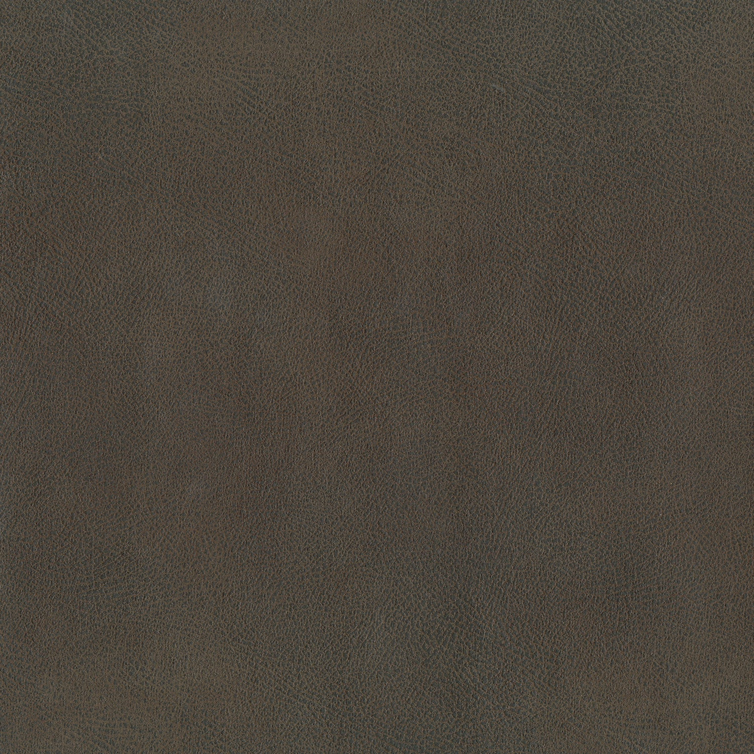 Close-up of deep espresso-brown leather with a fine, softly pebbled grain