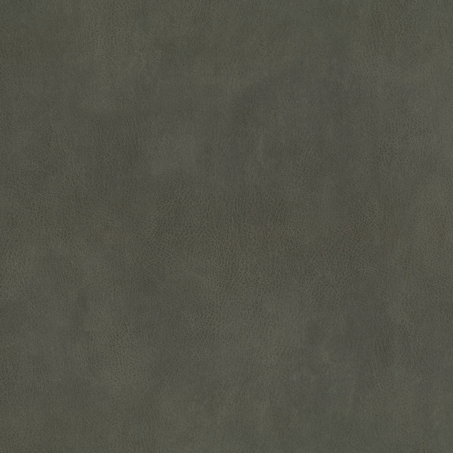Dark granite-grey plain leather upholstery with softly mottled cloudy texture