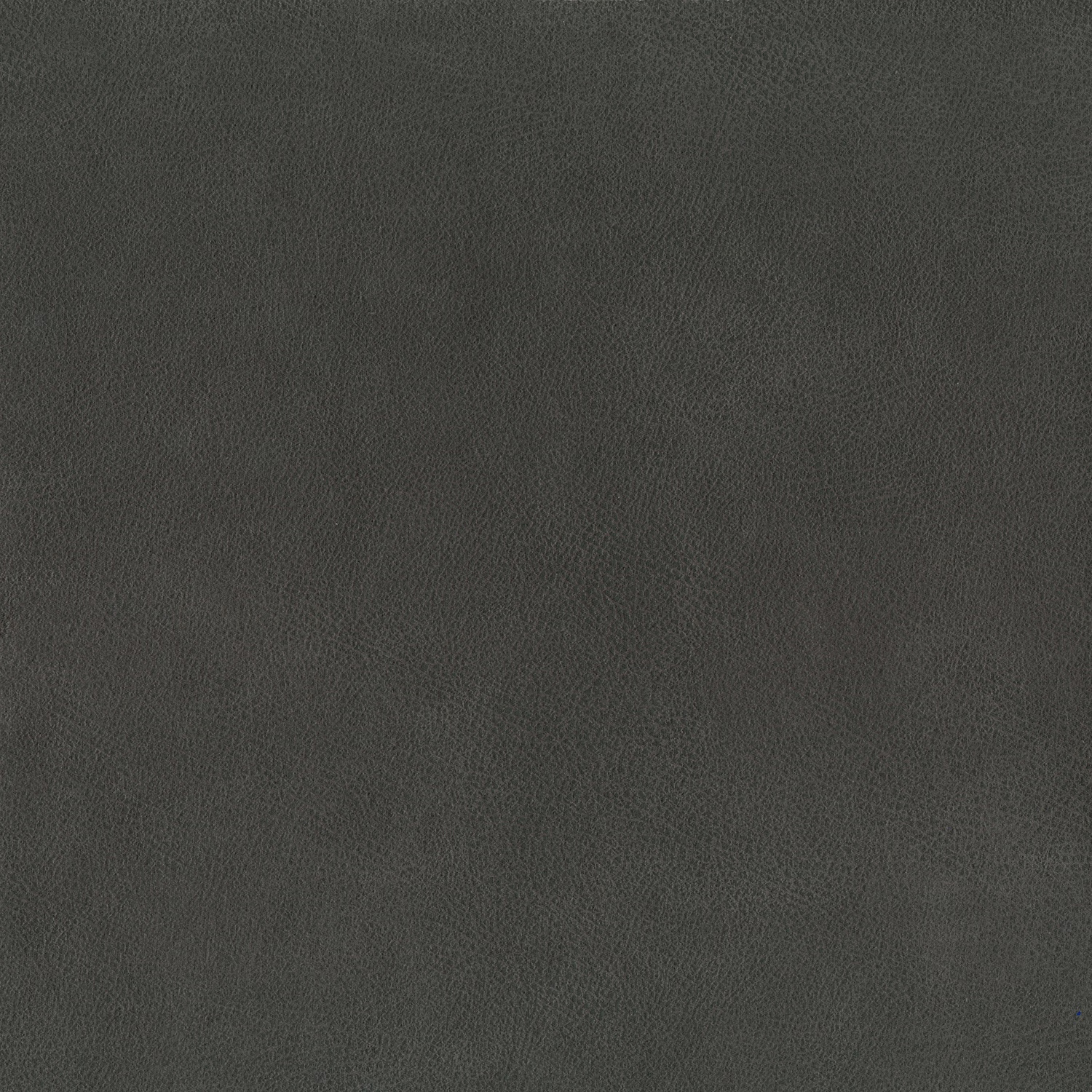 Deep charcoal grey leather surface with subtle pebbled grain and tonal variation