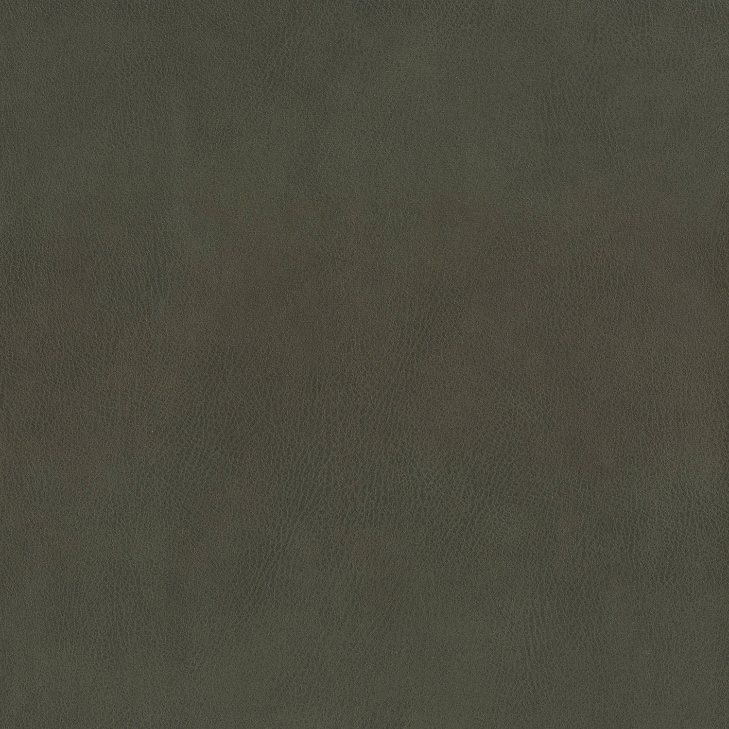 Close-up of muted moss olive leather with a fine, pebbled grain