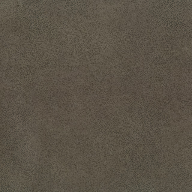 Muted mushroom taupe leather with a fine, pebbled grain