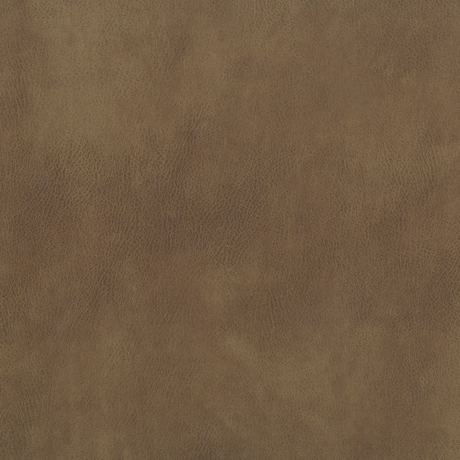 Warm saddle-brown leather grain with softly mottled tan shading
